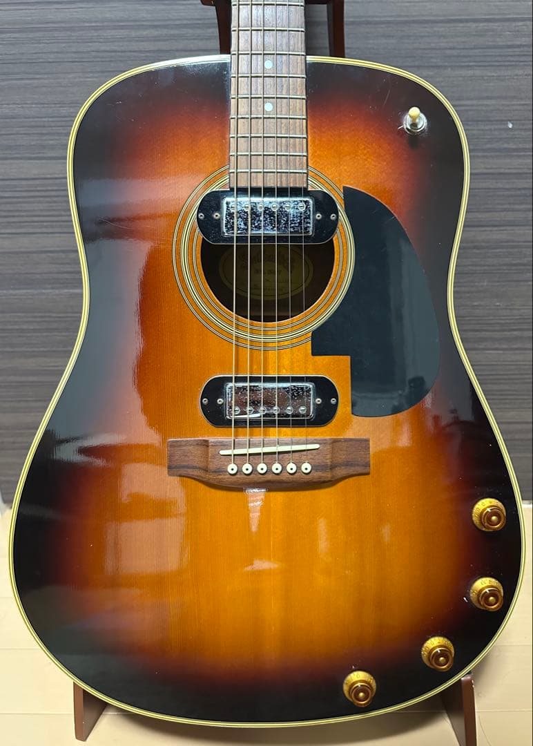 【 Stafford SF-S1 】エレアコ