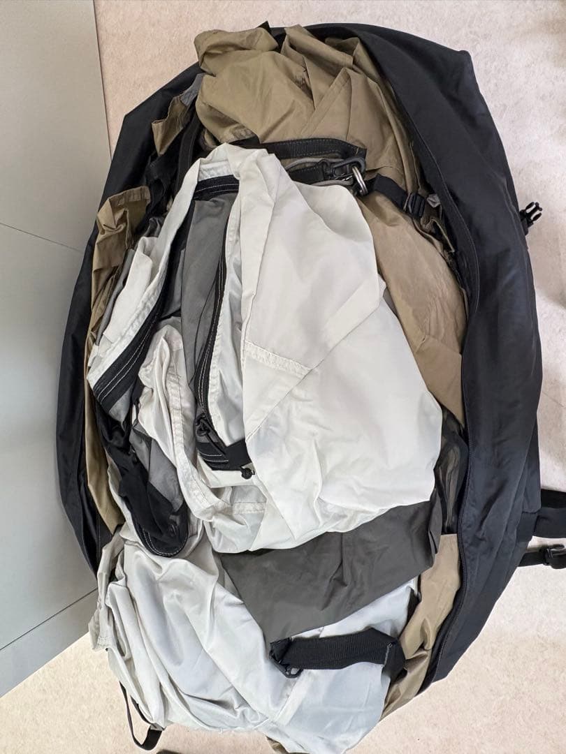 SABBATICAL サバティカル アルニカ