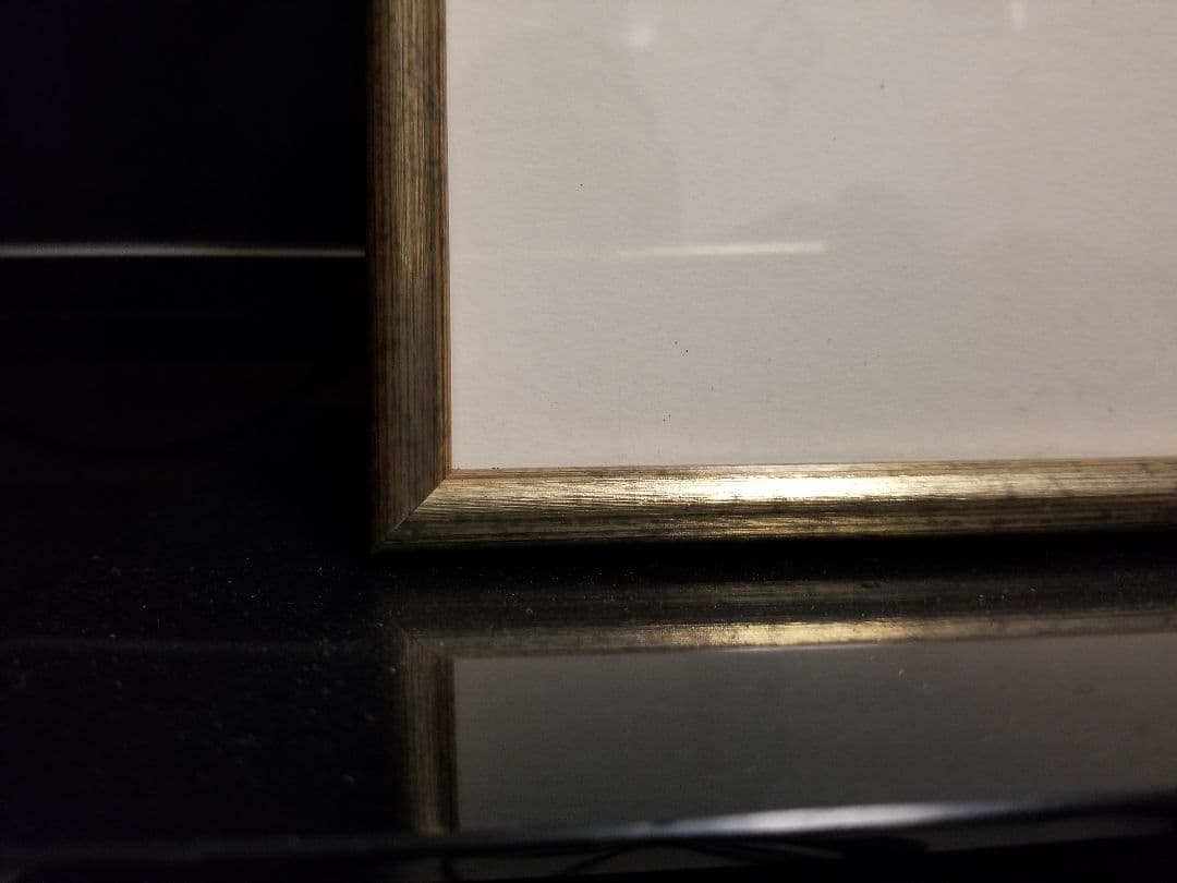 1970's　和モダン　朴の木　フランラロク　ボタニカル　シノワズリ　額装品