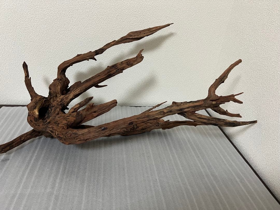 HX-083 流木　ホーンウッド　マシンガンウッド　アクアリウム　ブランチウッド