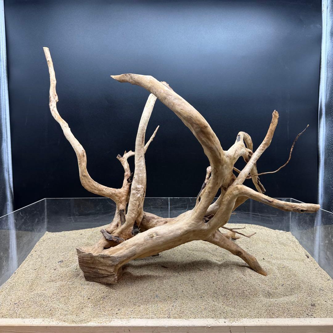 MDW-7159 特大ブランチウッド　流木　枝流木　アクアリウム