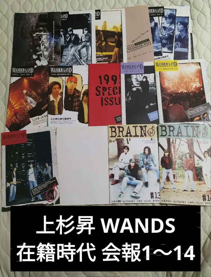 第2期 WANDS ワンズ 上杉昇 会報1～14フルセットWANDERLAND