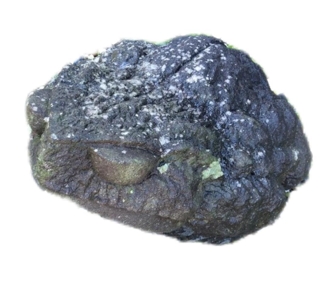 石彫刻の蛙 置物 全長約50cm オブジェ 縁起物 庭石 庭園 飾り 蛙石像