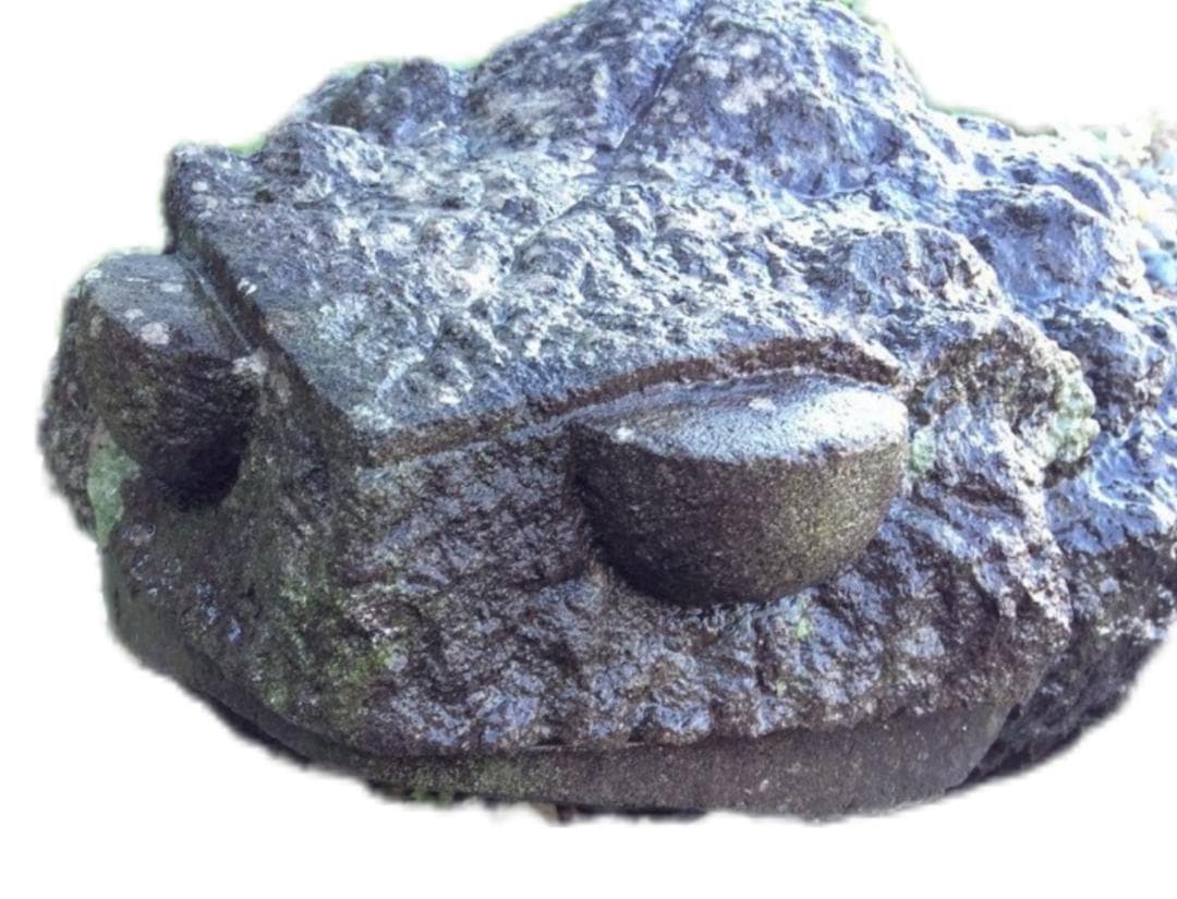 石彫刻の蛙 置物 全長約50cm オブジェ 縁起物 庭石 庭園 飾り 蛙石像