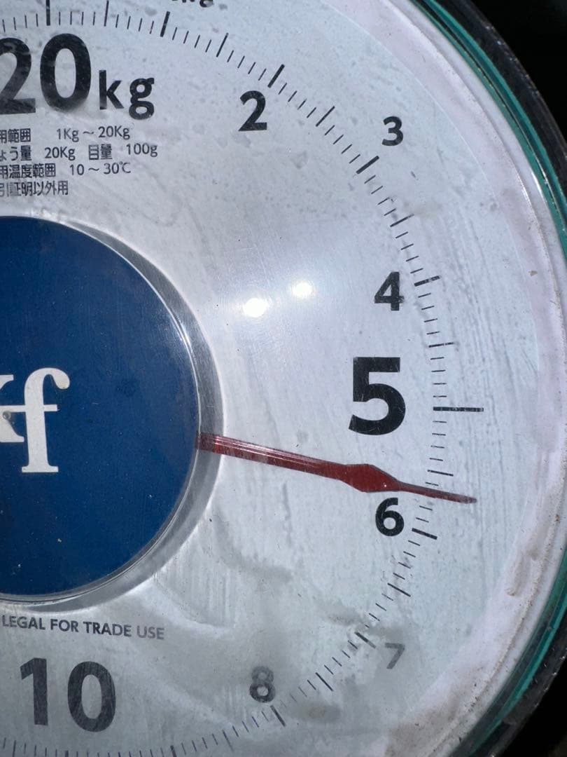 山梨県産JA共選品シャインマスカット⭐️9房入り箱込み約5.7キロ