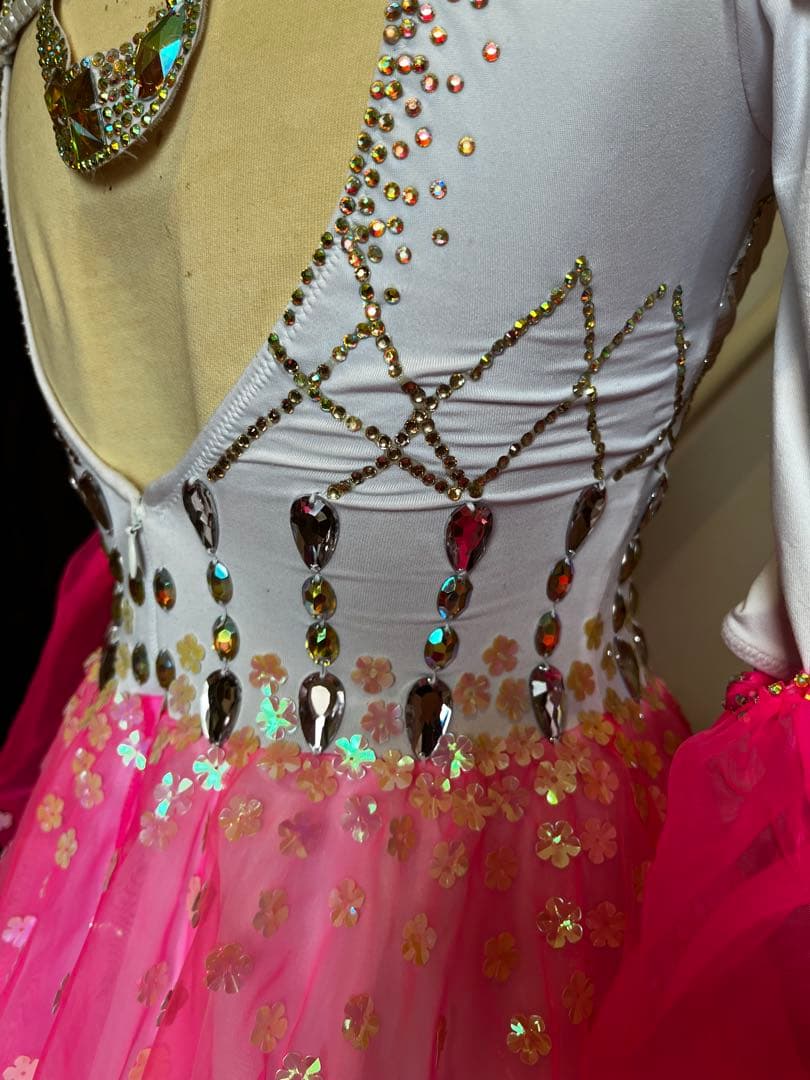 社交ダンス スタンダード正装ドレス　Mサイズ