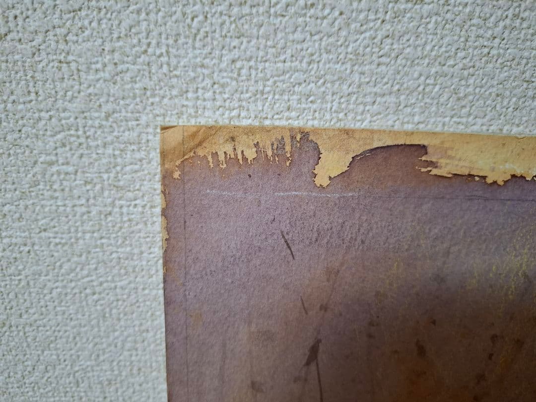 【一点物】トム・パーキンソン/Tom Perkinson スカイウォーカー 原画