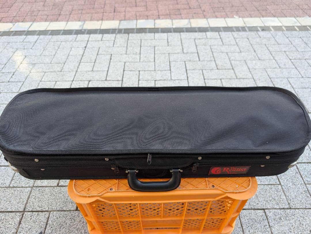 【特価】エレキバイオリン　David Gage　The Realist　RV4