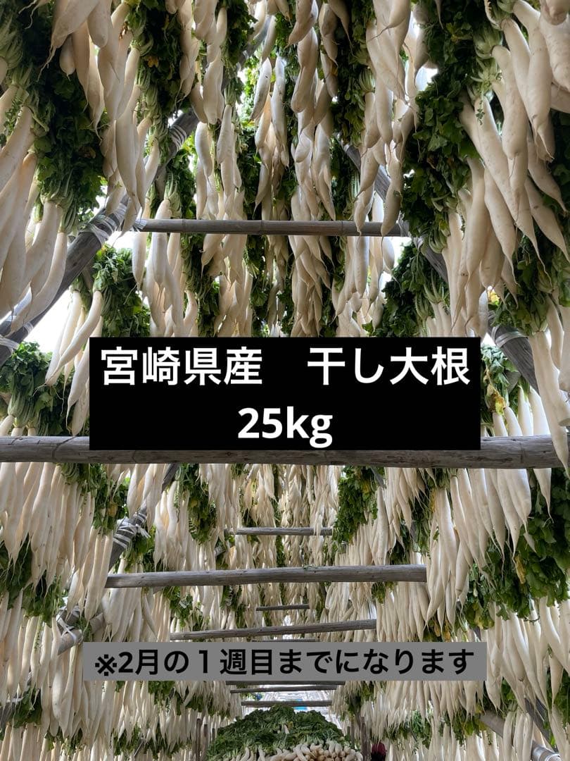干し大根　宮崎県産　大根　箱込み25kg