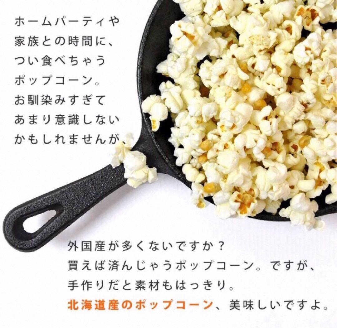 業務用 北海道産 ポップコーン 300g×2袋 遺伝子組み換えなし