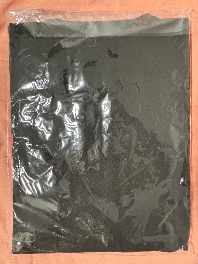 She is Legend パーカー ライブTシャツセット