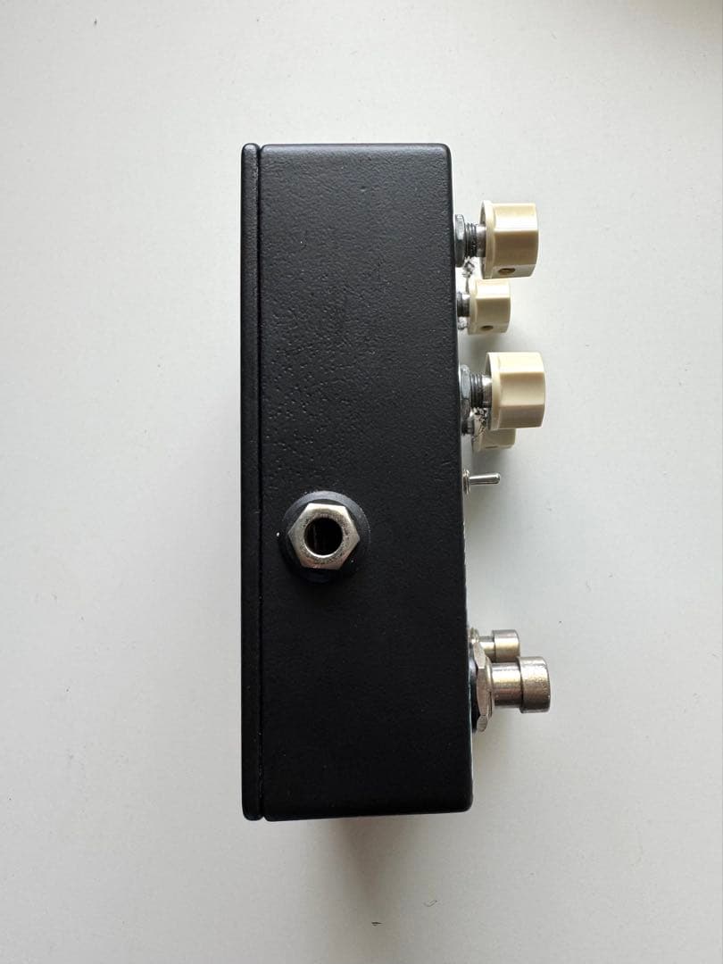 ギター OLD BLOOD NOISE ENDEAVORS DARK STAR