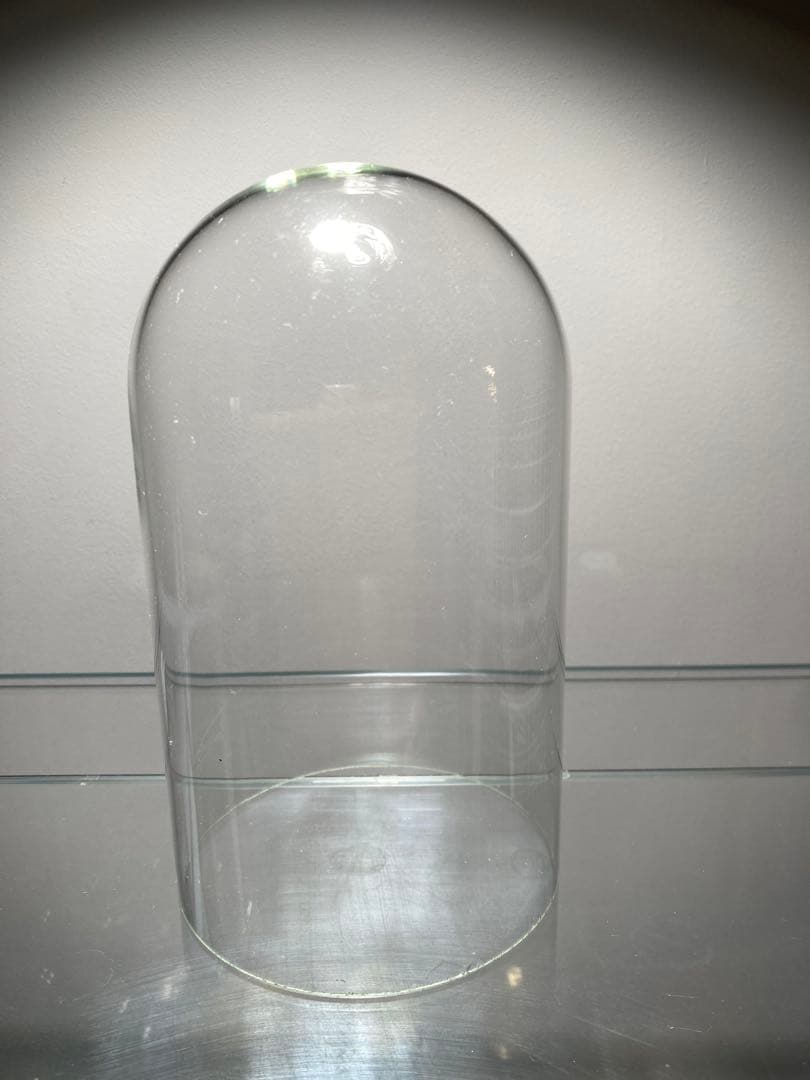 イギリスビクトリアングラスドームオブジェディスプレイ店舗什器蚤の市ガラスケース