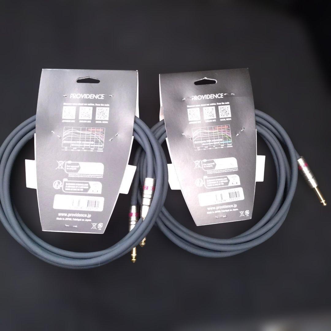新品 Providence B202 3m S/S プロヴィデンス