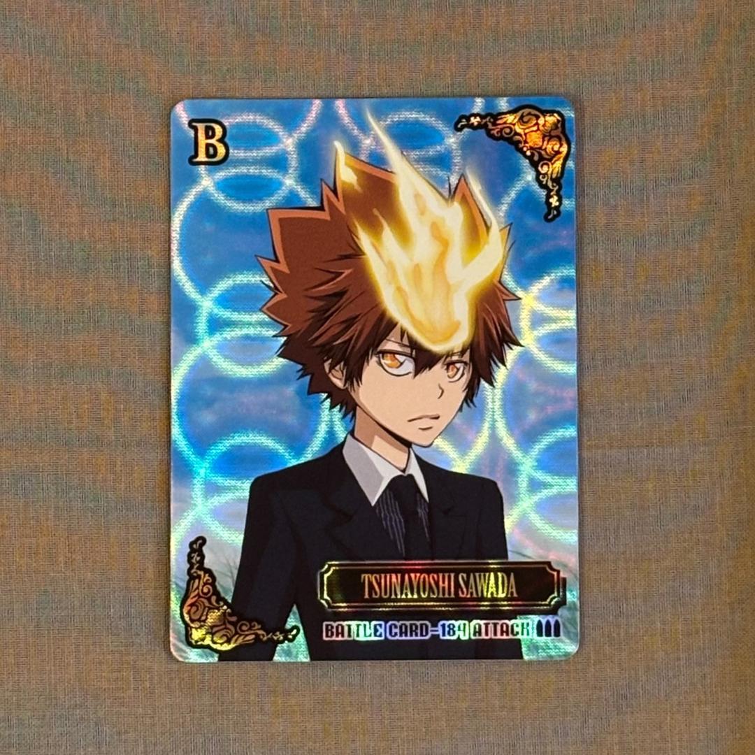 REBORN！　沢田綱吉　サザンクロスバトル　ボンゴレア