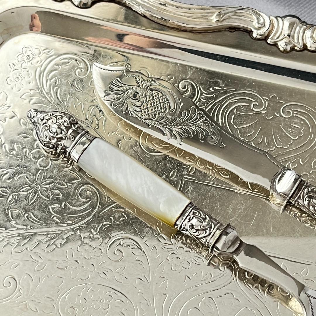 【英国】【白蝶貝】サーバーセット プレザーブスプーン/バタースプレッダー セット