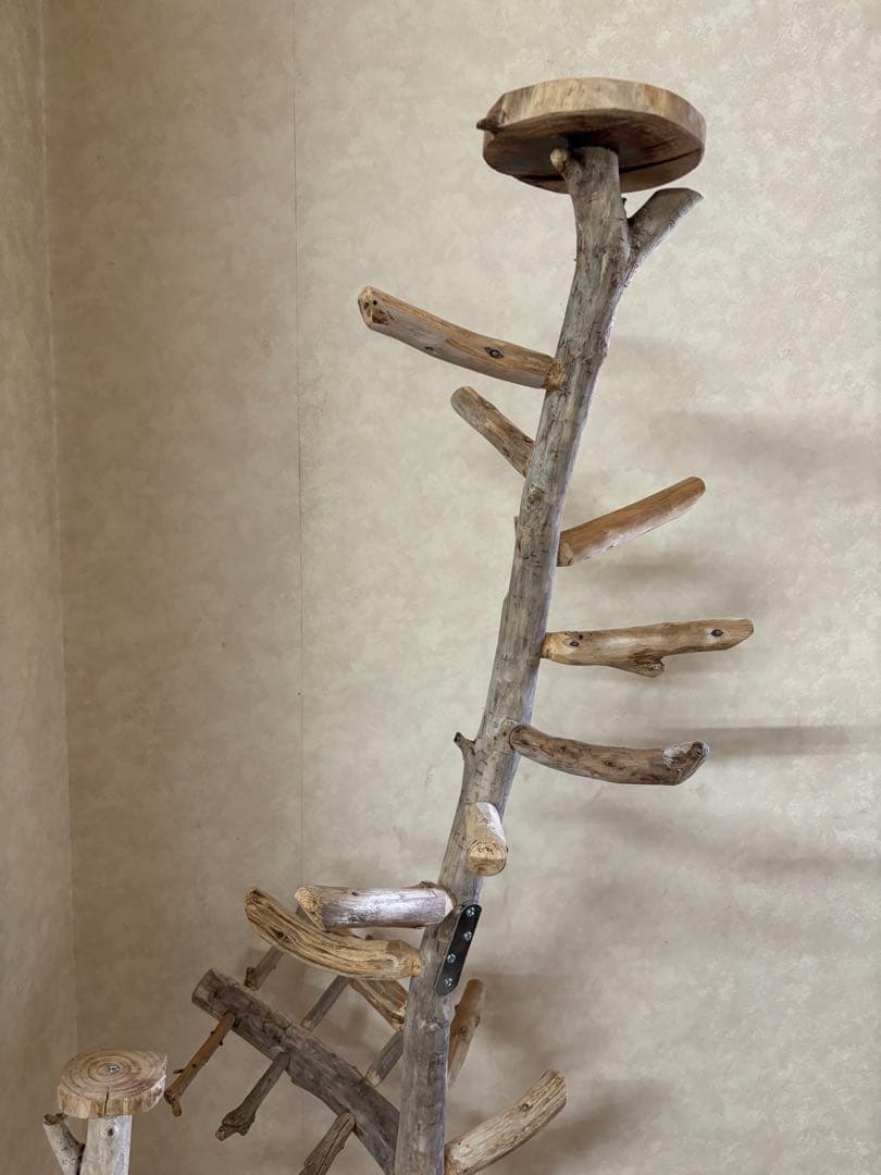 みゅん鳥インコ止まり木 タワー型バードアスレチックバードジム