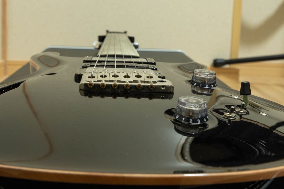 ギター PRS SPECIAL 22 SEMI-HOLLOW (2023)