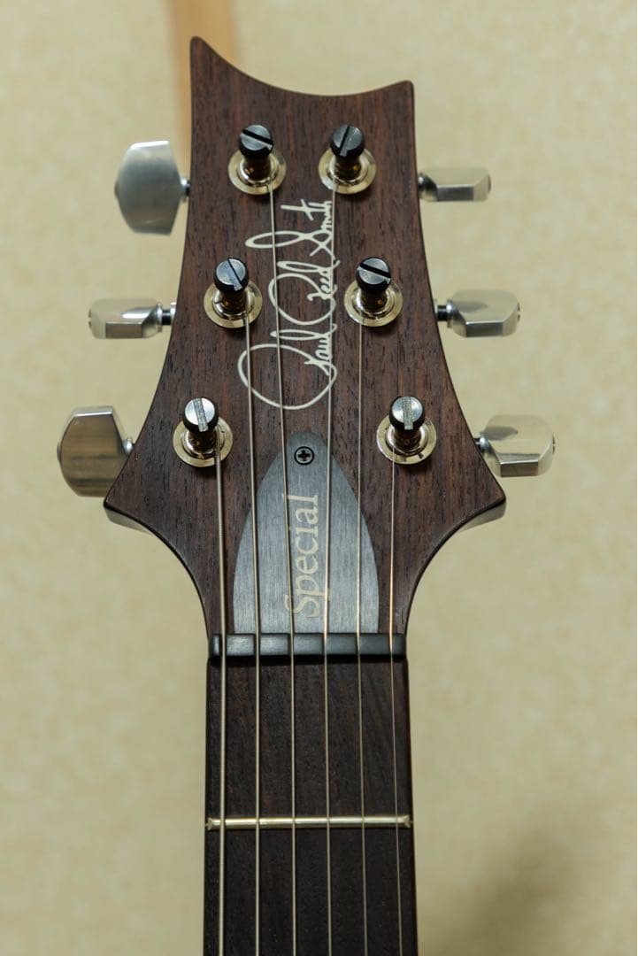 ギター PRS SPECIAL 22 SEMI-HOLLOW (2023)