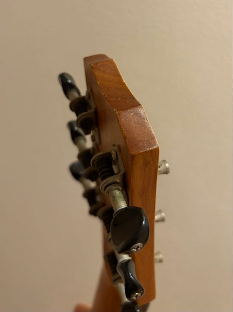 リメンバーミー コルドバ Cordoba ミニギター