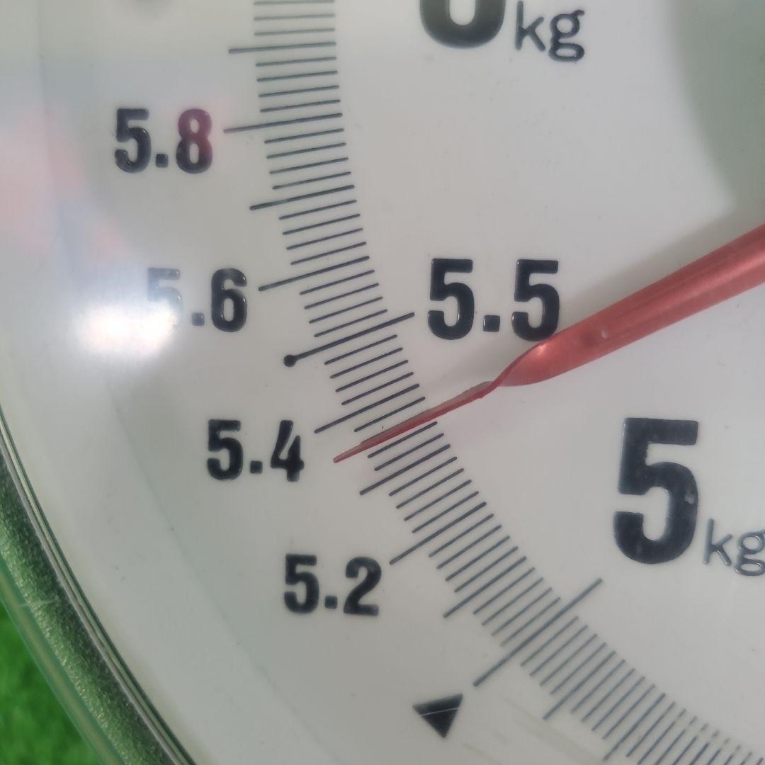 7️⃣ 山梨県産 シャインマスカット １０房入り 箱込み5.3キロ