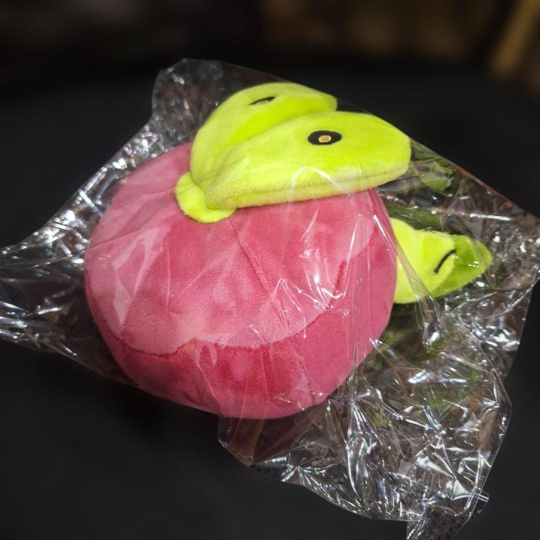 ポケモンセンター　カジッチュ　ぬいぐるみ　日本