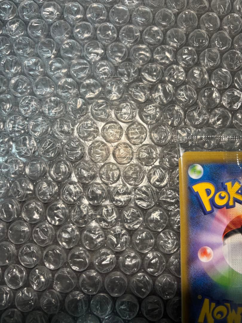 ポケモン切手 BOX ポケモンカードゲーム 見返り美人・月に雁セット