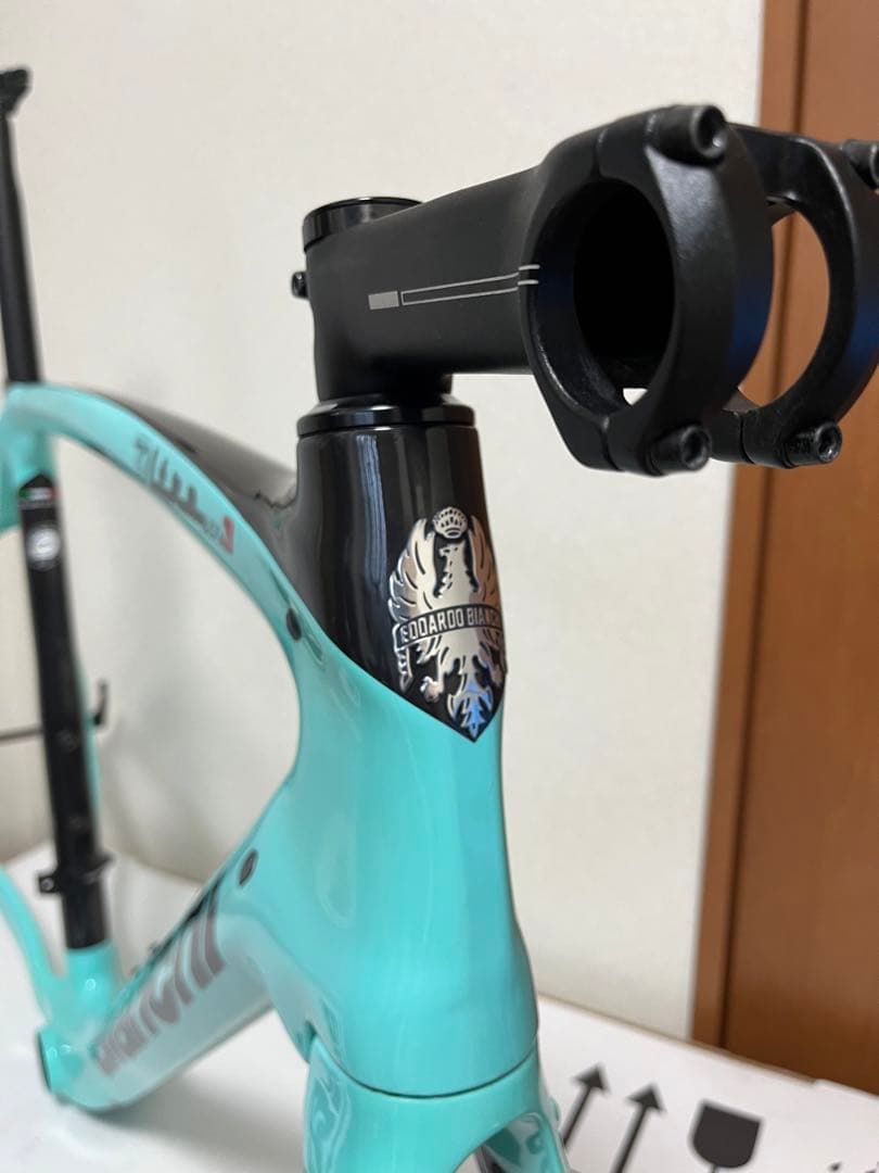 Bianchi Oltre XR3 DISC フレーム 57サイズ
