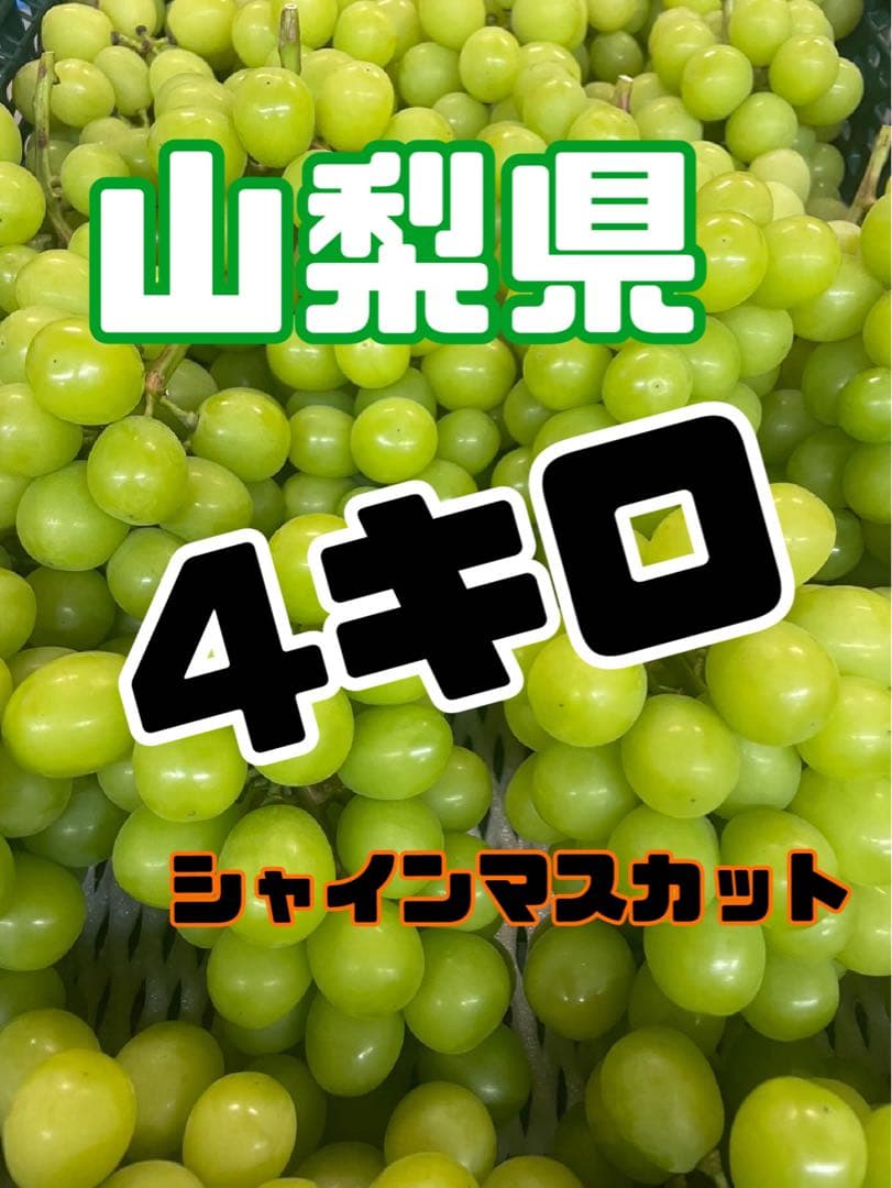 【農家直送】4キロ　山梨県産　大好評　シャインマスカット
