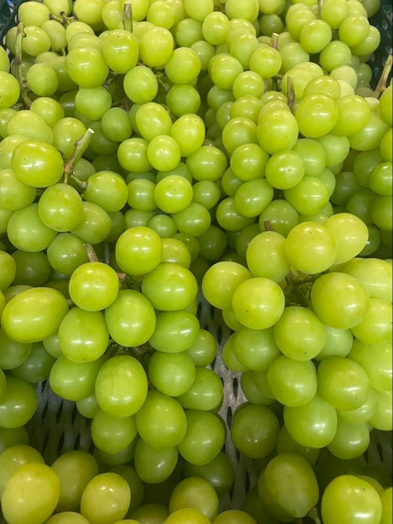 【農家直送】4キロ　山梨県産　大好評　シャインマスカット