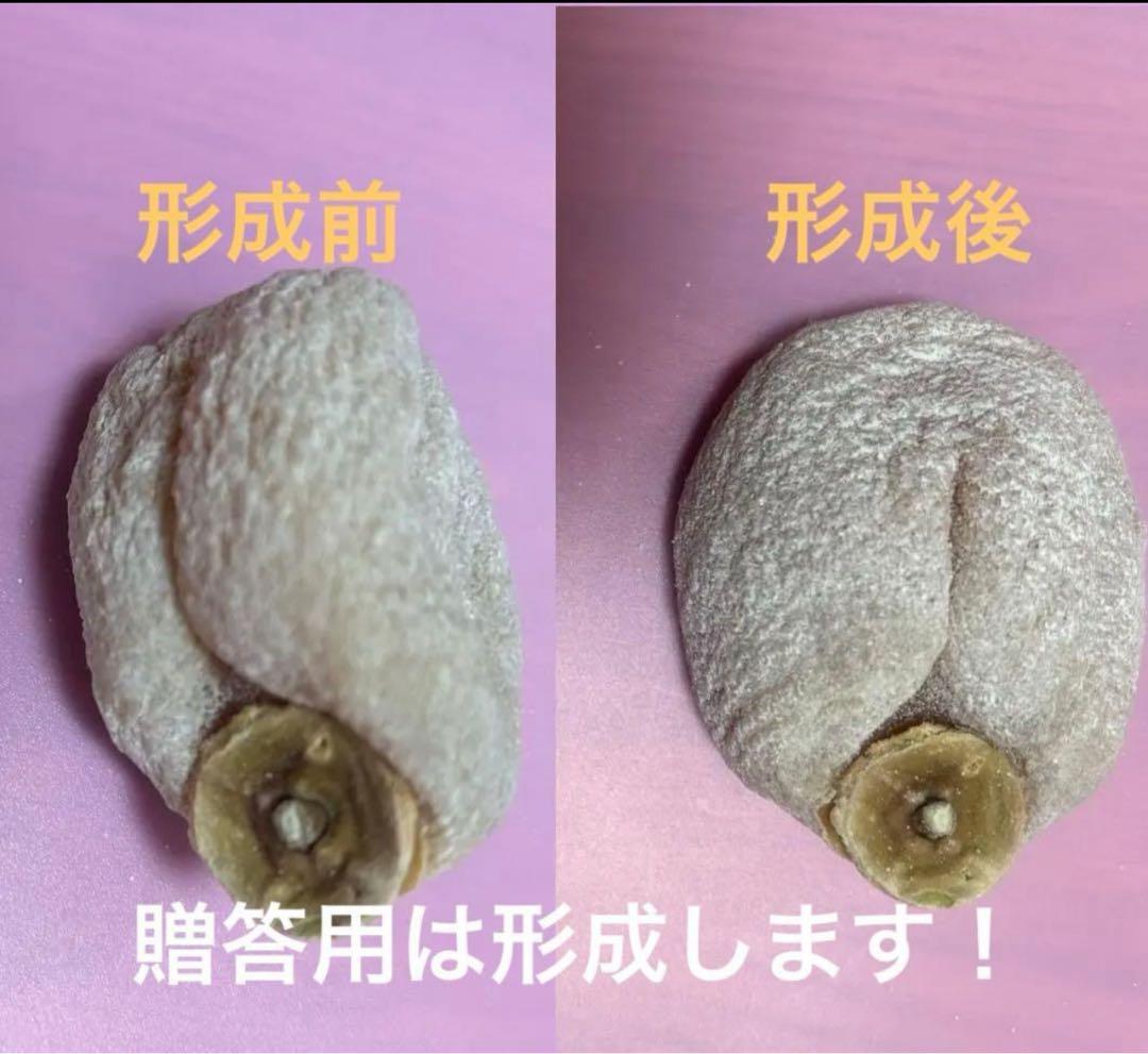 市田柿大粒ＬＬサイズ バラ5kg 年末値下げ！