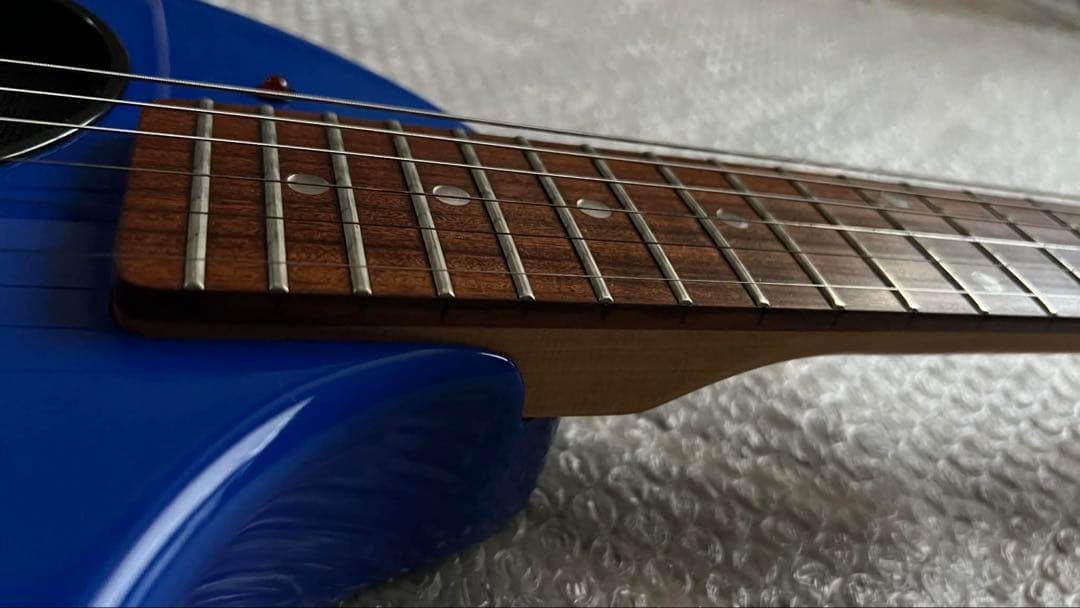 FERNANDES ZO-3 (ブルー )専用ケース