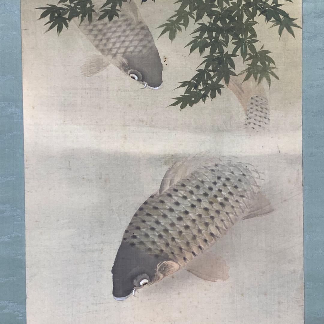 掛軸 光雪 鯉 木箱 3-20