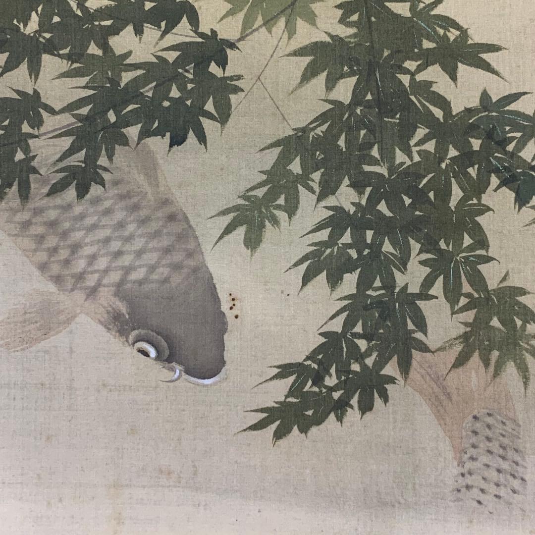 掛軸 光雪 鯉 木箱 3-20