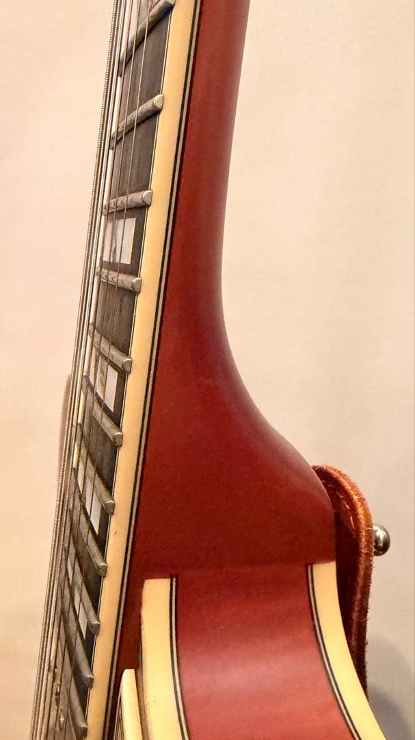 ギター Deluxe Mini DC Limited Edition MWLNT