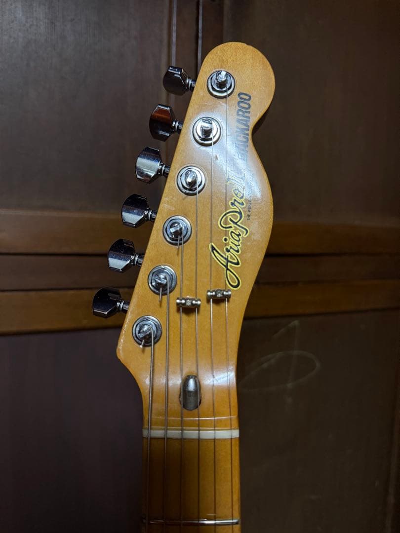 Aria ProⅡ TE-500N MOD テレキャスターシンライン 1976