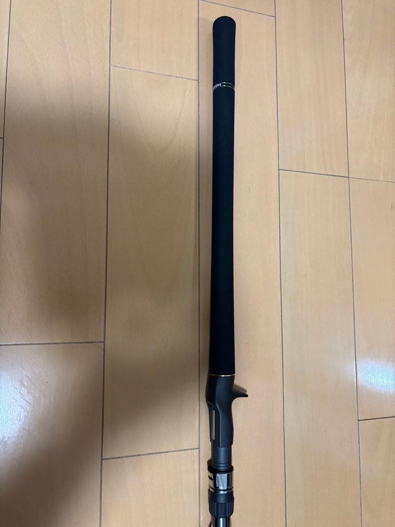 テールウォーク　ジグフォースSSD C604