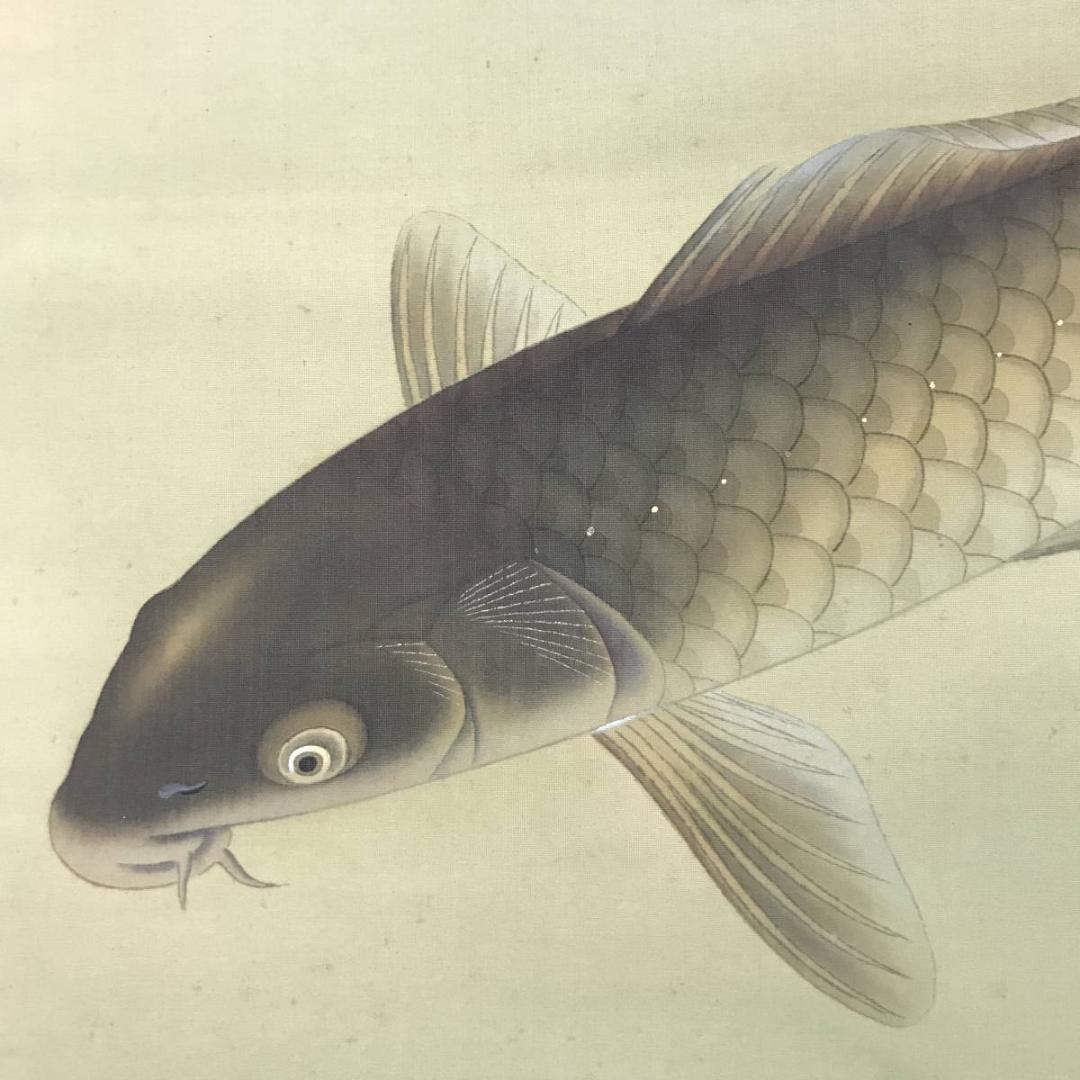 【真作】小林柏陽/師　西村五雲/遊鯉図/鯉図/掛軸/名家伝来/AC-630