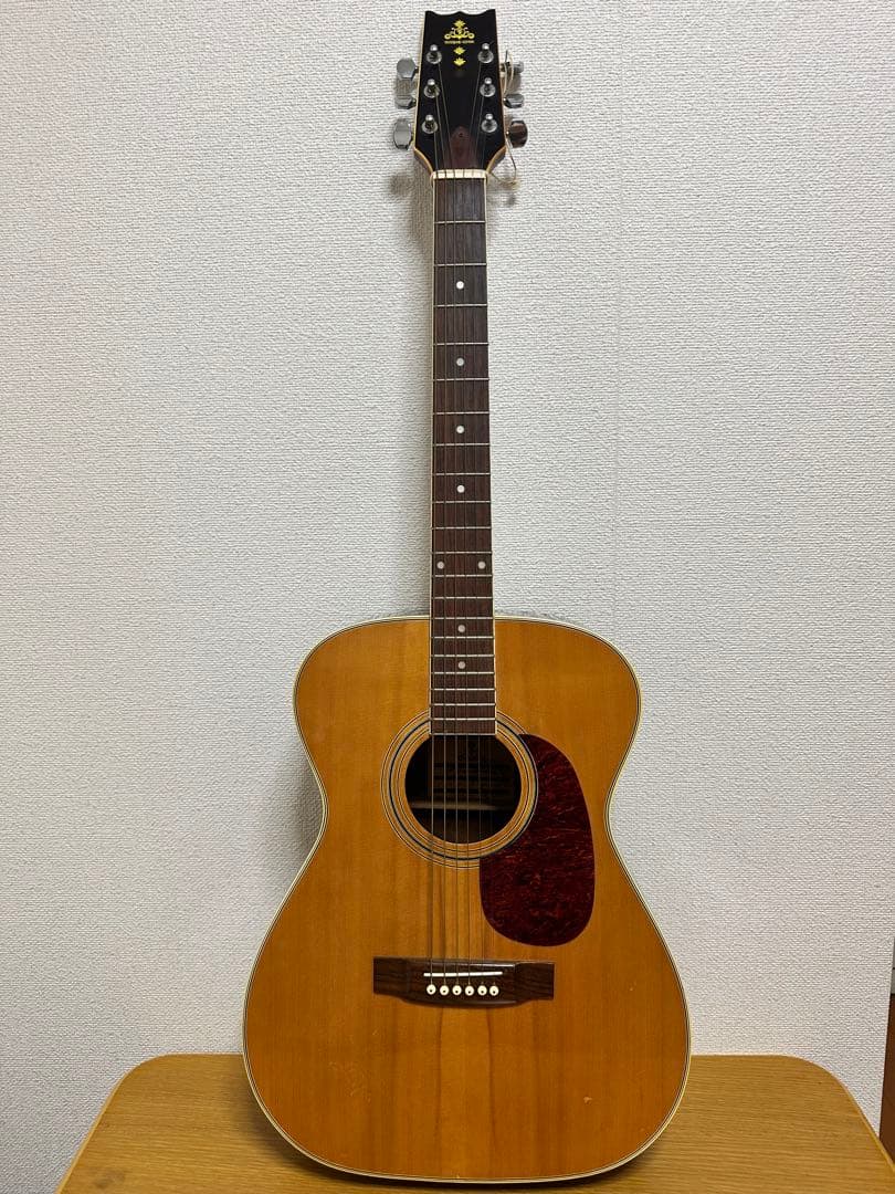 ✨ ビンテージ国産アコースティックギター TAKERARU ✨ 希少モデル