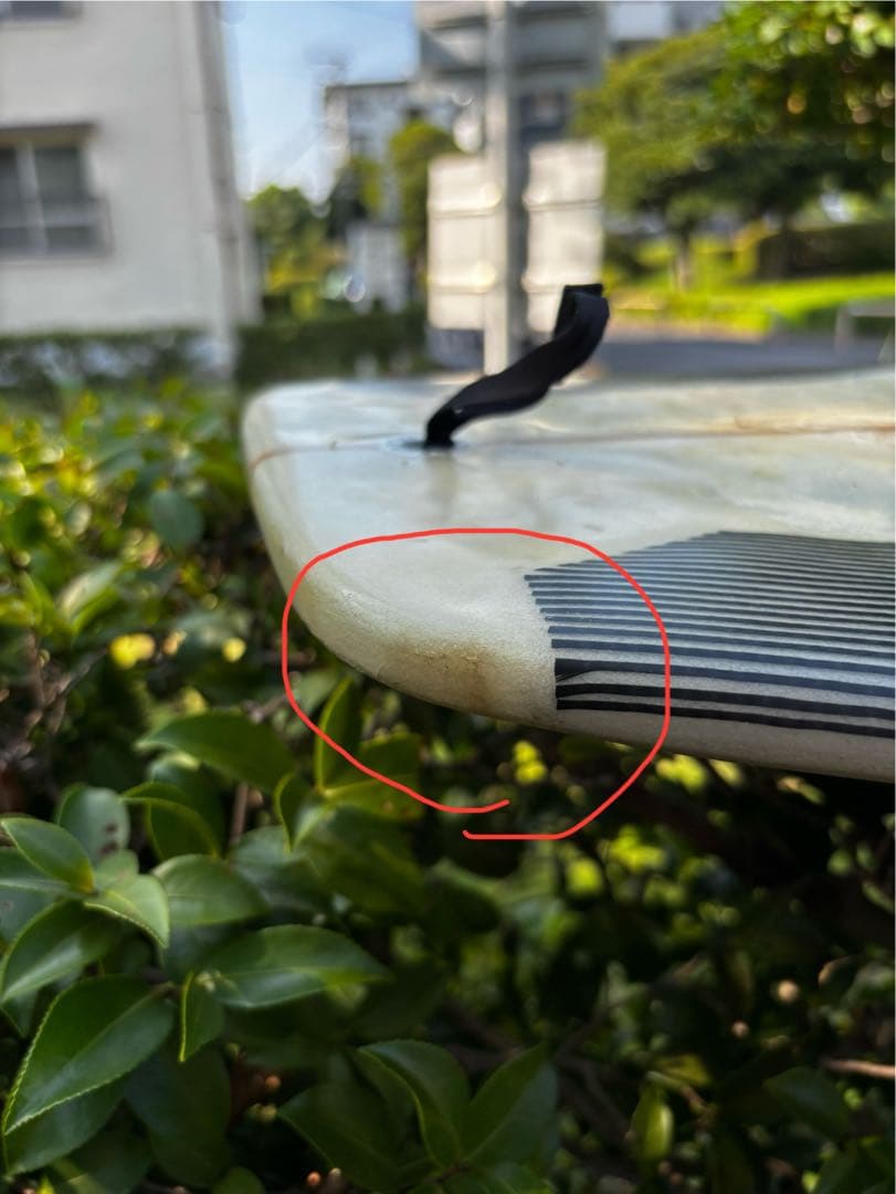 アルメリック チャンネルアイランド　スパムホエール spam whale