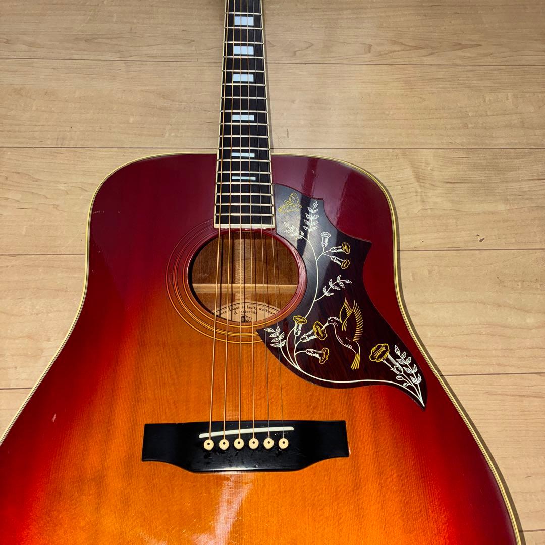 激レア！Morris(モーリス）WH-20ハミングバードタイプ　弦高調整済みです