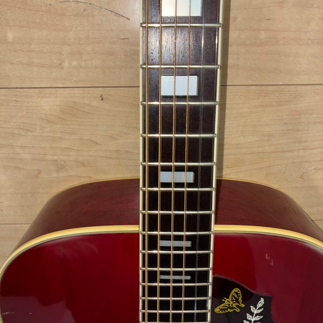 激レア！Morris(モーリス）WH-20ハミングバードタイプ　弦高調整済みです