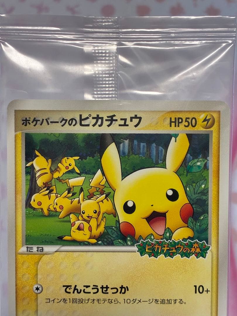 ポケパークのピカチュウ☆PROMO PCG-Pプロモカード 043/PCG-P