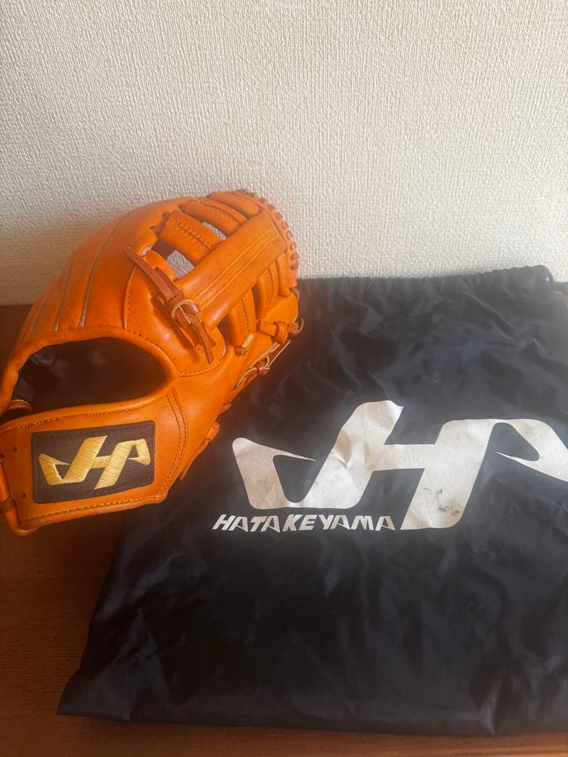 唐沢 ハタケヤマ　金本モデル グローブ