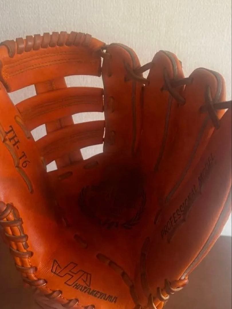 唐沢 ハタケヤマ　金本モデル グローブ