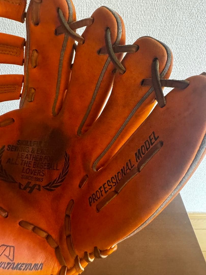 唐沢 ハタケヤマ　金本モデル グローブ