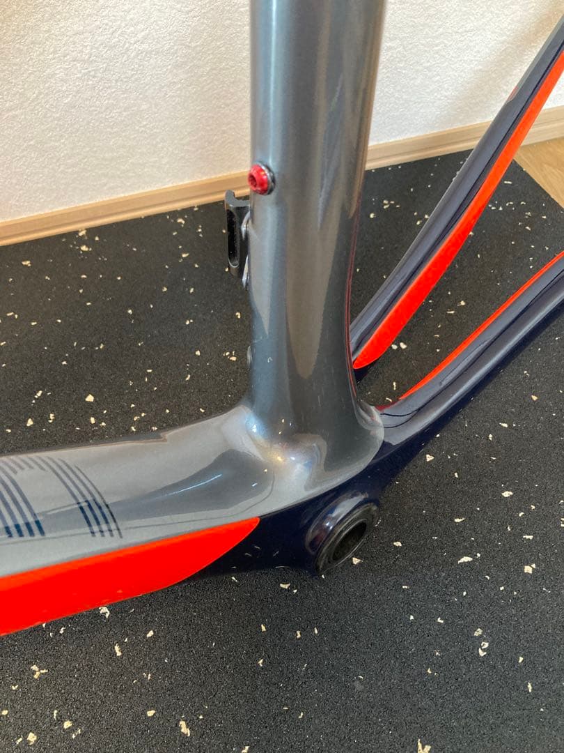 バッソ BASSO アストラ astra 53 2019モデル