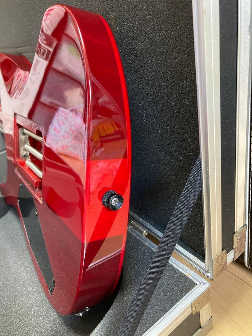 ESP M-Ⅱ系　カスタムオーダー品