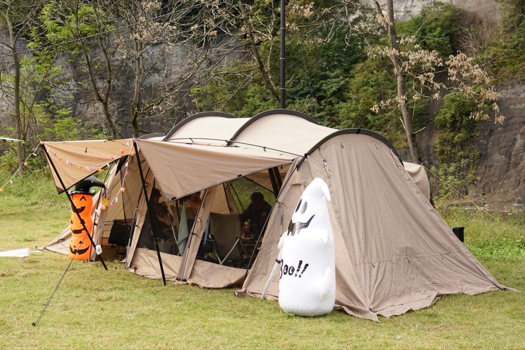 SABBATICAL サバティカル アルニカ