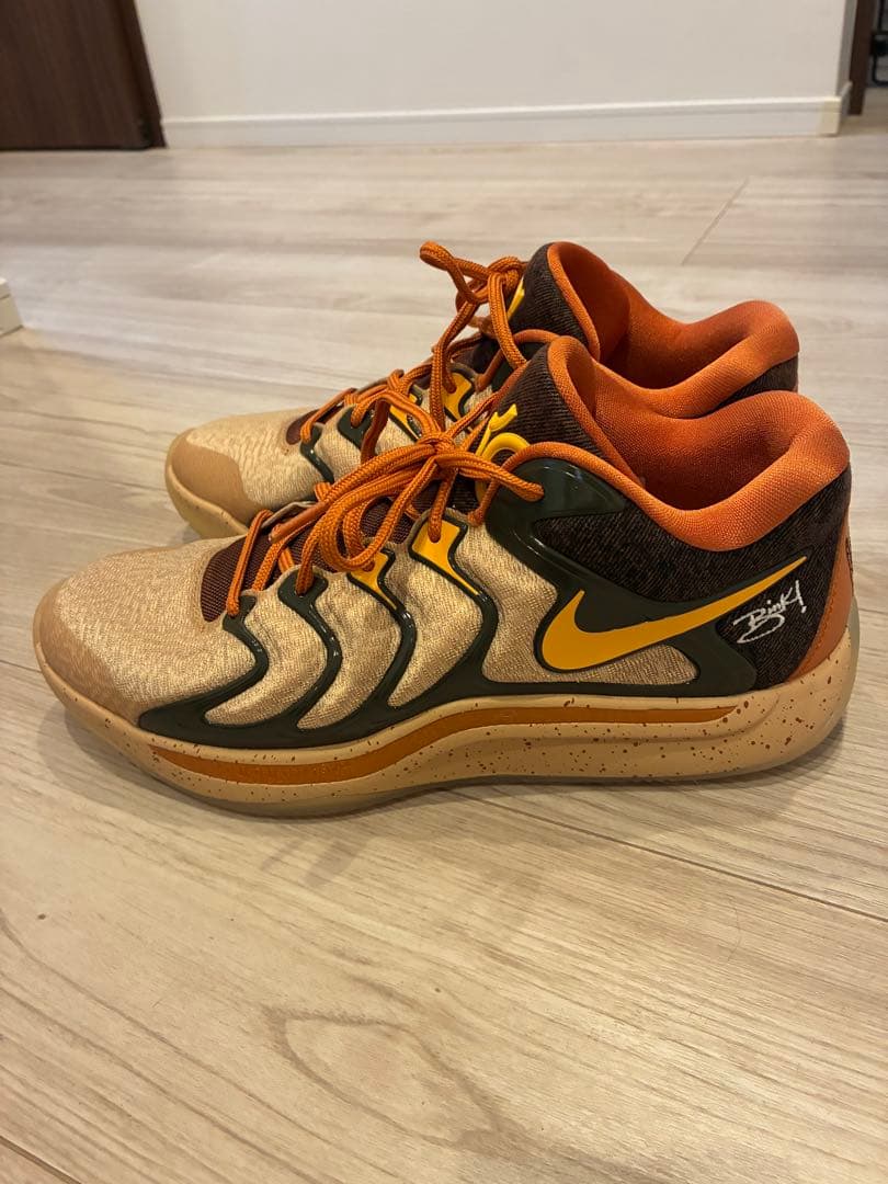 日本未発売　NIKE KD 17 NRG EP \